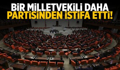 Bir milletvekili daha partisinden istfa etti