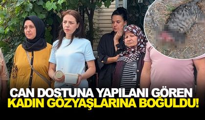 Can dostuna yapılanı gören kadın gözyaşlarına boğuldu!