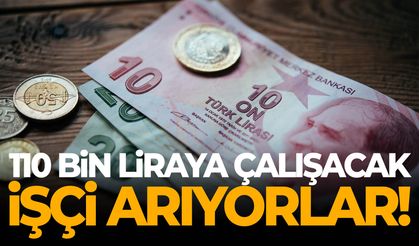 110 bin liraya çalışacak işçi arıyorlar!