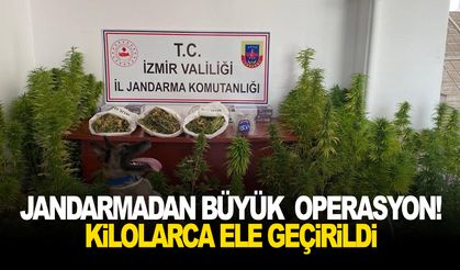 Jandarmadan büyük operasyon! Kilolarca ele geçirildi