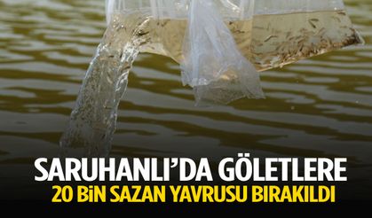 Saruhanlı’da göletlere 20 bin sazan yavrusu bırakıldı