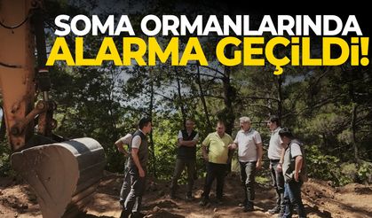 Soma ormanlarında alarma geçildi