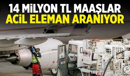 Üniversite okumadan yıllık 14 milyon TL kazanıyorlar!