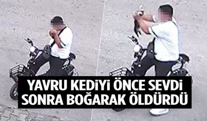 Yavru kediyi önce sevdi, sonra boğarak öldürdü!
