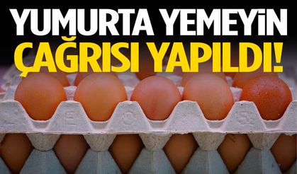 Yumurta yemeyin çağrısı yapıldı!