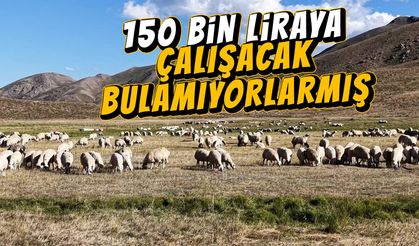 Bir şehrin gündemi bu: 150 bin liraya çalışan yok