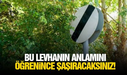 Bu levhanın anlamını öğrenince şaşıracaksınız!