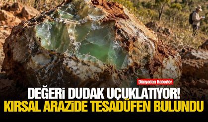 Değeri dudak uçuklatıyor! Kırsal arazide tesadüfen bulundu