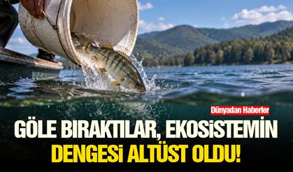 Göle bıraktılar, ekosistemin dengesi altüst oldu!