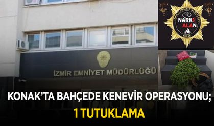 Konak'ta bahçede kenevir operasyonu; 1 tutuklama