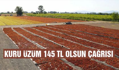 Kuru üzüm 145 TL olsun çağrısı