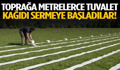Toprağa metrelerce tuvalet kağıdı sermeye başladılar!