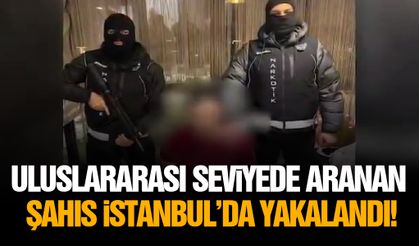 Uluslararası seviyede aranan şahıs İstanbul'da yakalandı!