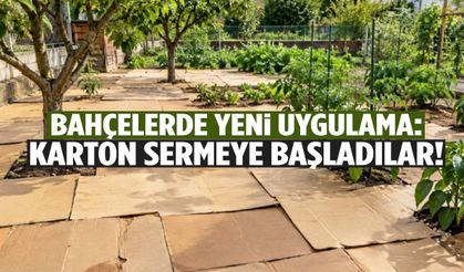 Bahçelerde yeni uygulama: Karton sermeye başladılar!