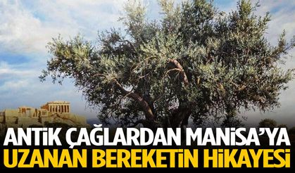 Antik çağlardan Manisa’ya uzanan bereketin hikayesi