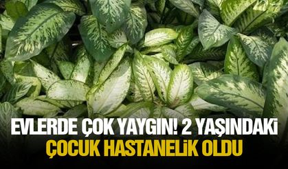 Evlerde çok yaygın! 2 yaşındaki çocuk hastanelik oldu