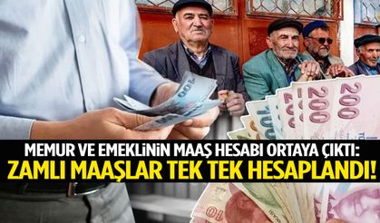 Milyonları ilgilendiriyor… Memur ve emeklinin yeni maaşı belli oluyor!