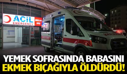 Babasını ekmek bıçağıyla öldürdü!