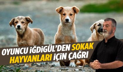 Oyuncu Semih İğdigül Manisa’da sokak hayvanları için sesini yükseltti