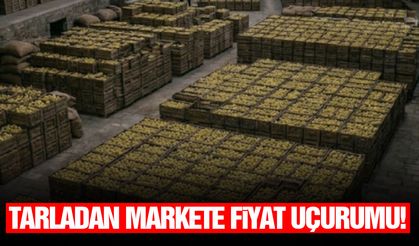 Tarladan markete fiyat uçurumu!