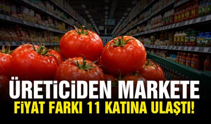 Üreticiden markete fiyat farkı 11 kata ulaştı!