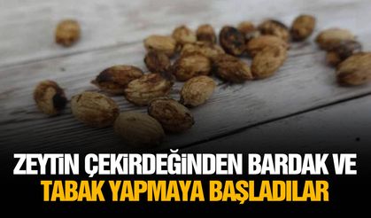 Zeytin çekirdeğinden bardak ve tabak yapmaya başladılar