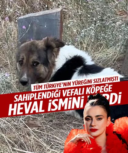 Ceylan Ertem sahiplendiği köpeğin adını Heval koydu