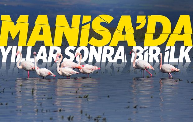 Manisa'da yıllar sonra bir ilk!