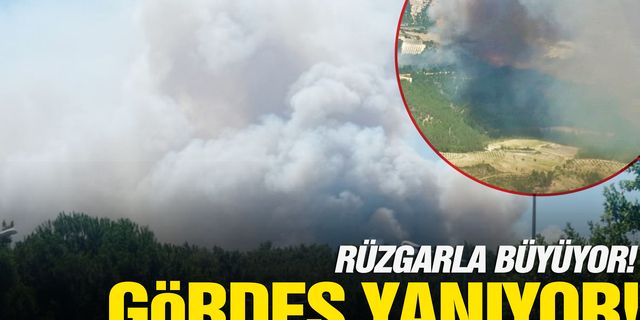 Manisa'da orman yangını çıktı!