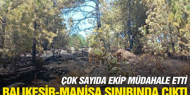 Manisa'da 1 hektarlık orman arazisi yandı