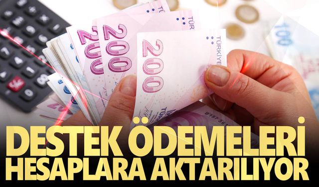 1 milyar 167 milyon lira ödeme hesaplara aktarılıyor