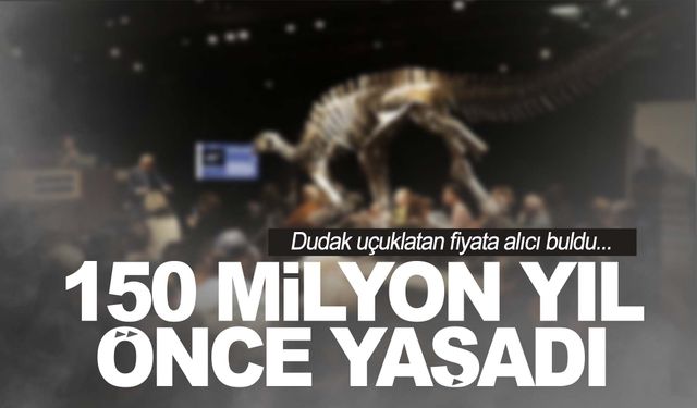 150 milyon yıllık… Dudak uçuklatan fiyata satıldı!