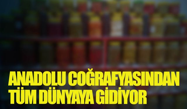 260 milyon dolarlık ihracata imza atıldı