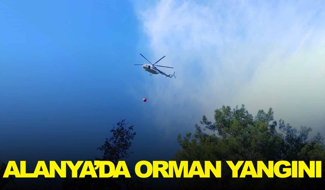 Alanya'da orman yangını