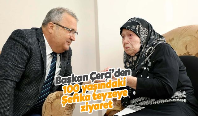 Başkan Çerçi asırlık çınarı ziyaret etti