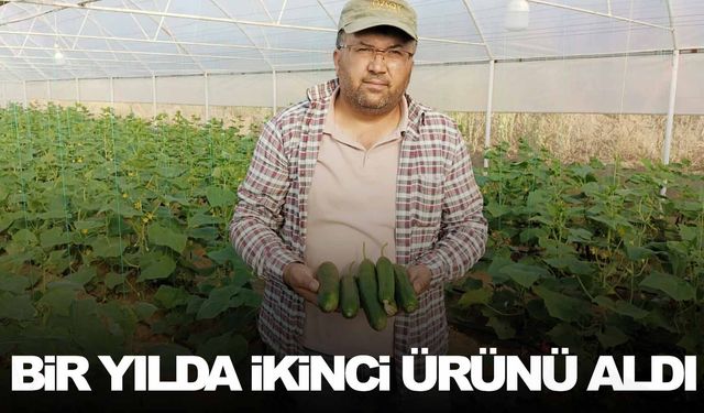 Manisalı çiftçi bir yılda ikinci ürünü aldı