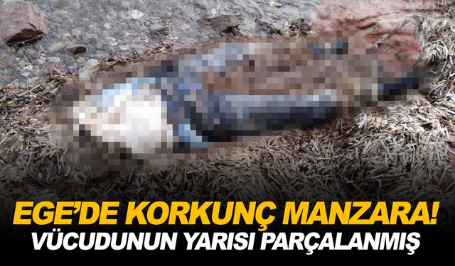 Deniz kenarında yarısı olmayan kadın cesedi bulundu