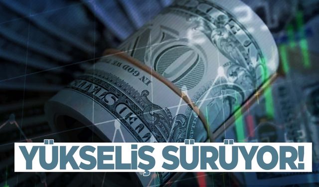 Dolarda yükseliş sürüyor! İşte 25 Ekim 2023 güncel döviz kurları…