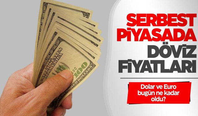 Dolar ve Euro ne kadar oldu? İşte güncel fiyatlar...