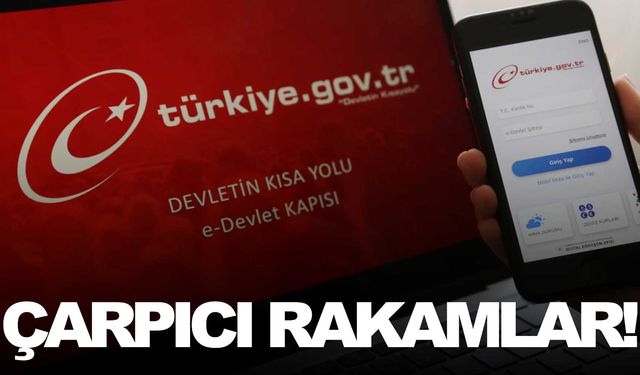 e-Devlet’te en çok o konuyu aradık!