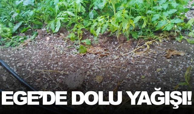 Ege’de dolu yağışı hayatı olumsuz etkiledi