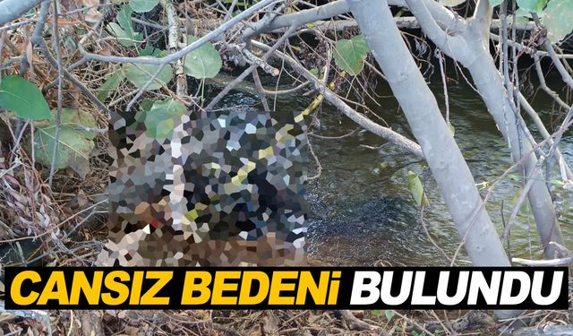 Eve gelmeyince arama çalışması başlatılmıştı, cansız bedeni bulundu