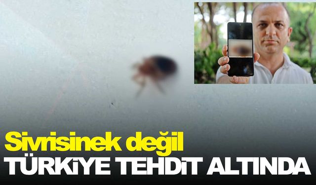 Geceleri saklanıyorlar, insanın uyumasını bekleyip kanını emiyorlar