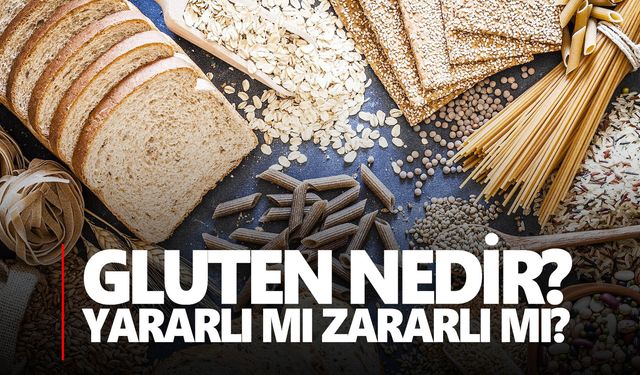 Glutenin zararları ve yararları nelerdir