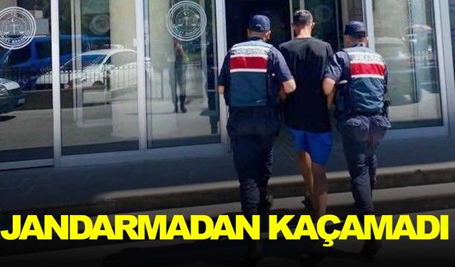 Göçmen kaçakçısı jandarmaya takıldı