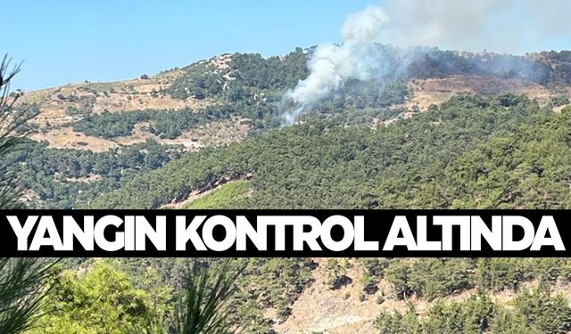 İzmir’deki orman yangını kontrol altında