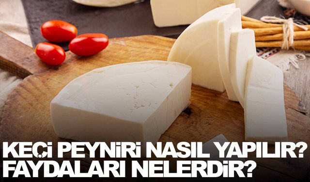 Keçi peyniri nasıl yapılır? Keçi peynirinin faydaları nelerdir?