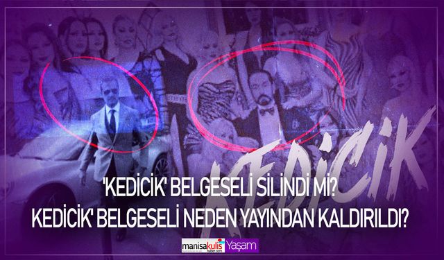 'Kedicik' belgeseli silindi mi? Kedicik' belgeseli neden yayından kaldırıldı?