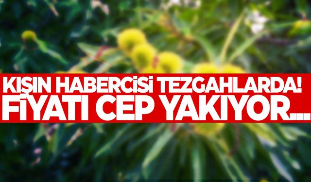 Kışın habercisi pazarda yerini aldı! Kilosu…