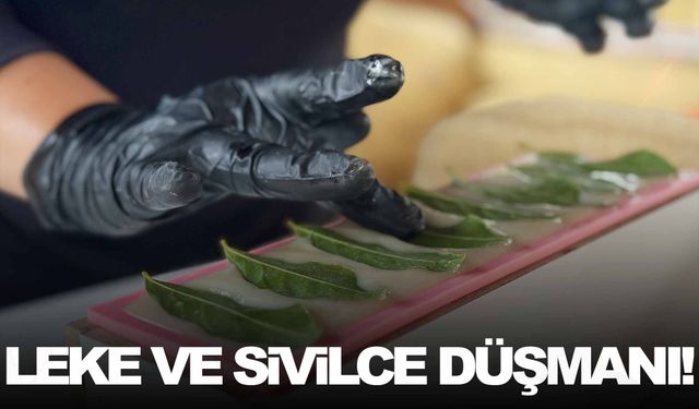 Tamamen doğal… Leke ve sivilce düşmanı!